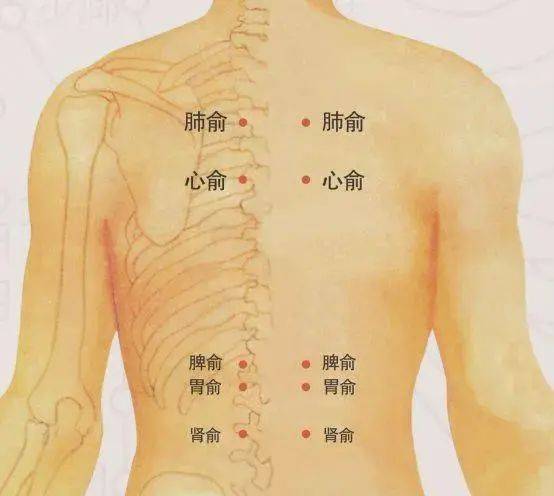 心脏不好艾灸位置图图片