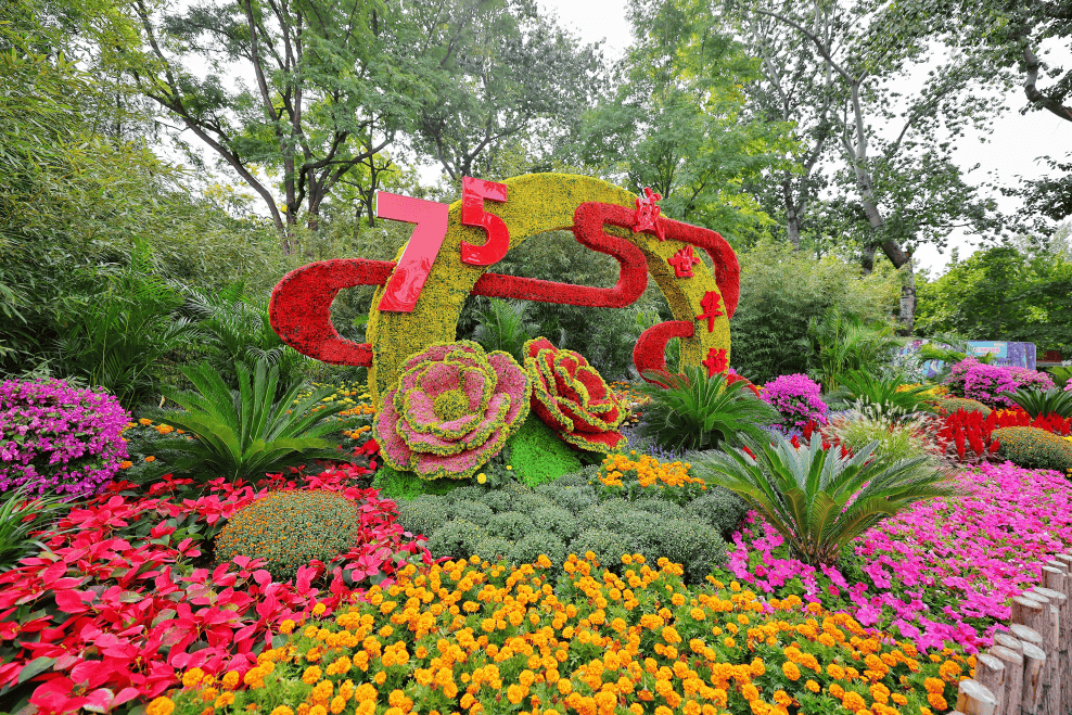 国庆花韵共绘,全民参与同庆