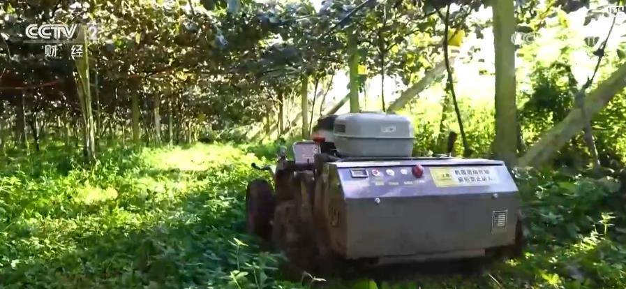 农业机械制作卡点图片的简单介绍 农业机器
制作卡点图片的简单

先容
 农业机械