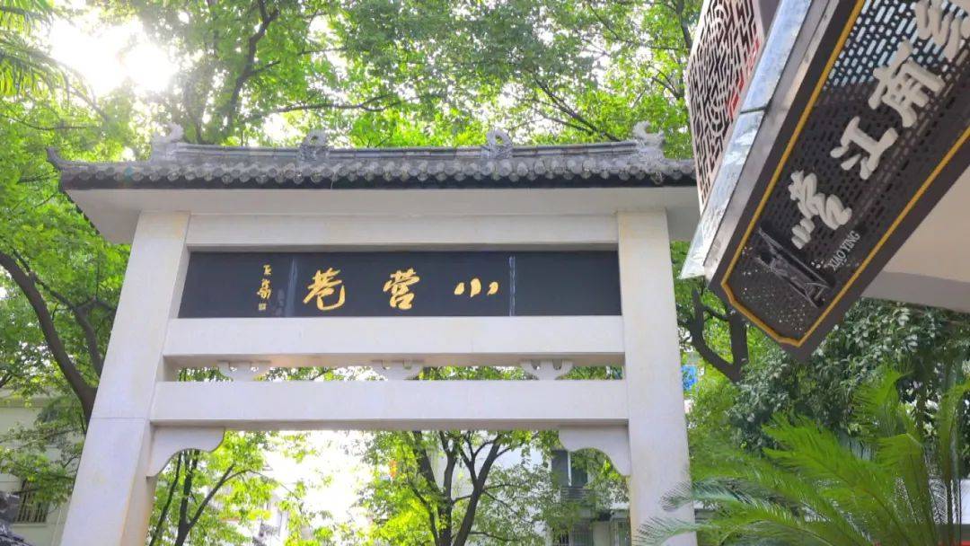 【养生堂】今日播出《健康中国万里行:浙江——"长寿社区"的数智医疗