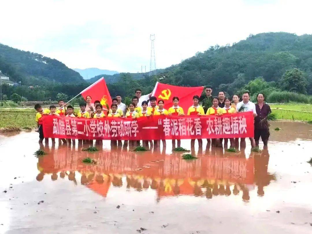 行走的思政课堂 | 勐腊县第二小学开展"稻谷丰收季 稻田变课堂"校外