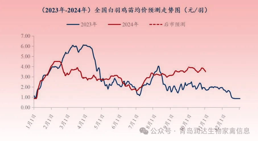 行情 | 9月肉鸡市场行情分析及10月行情预测