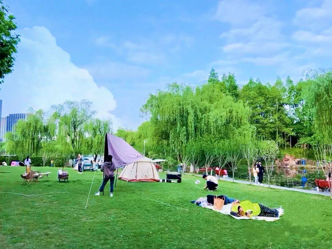 露营 露天电影,在这里"微度假"不要太嗲!_大宁_公园_游园活动