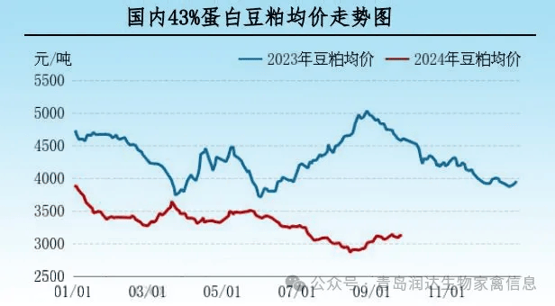 行情 | 9月肉鸡市场行情分析及10月行情预测 第4张