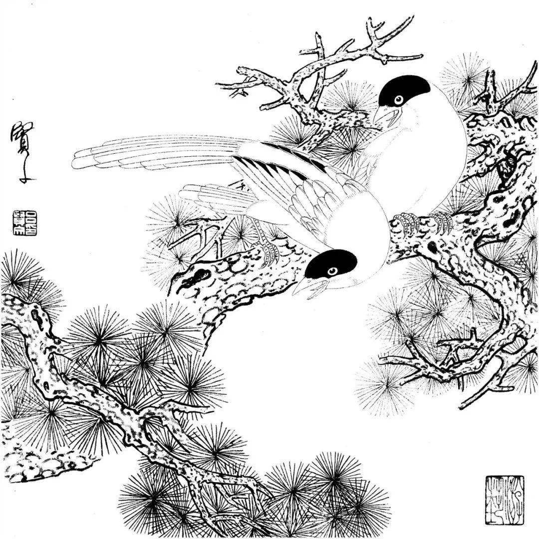 工笔花鸟白描图谱20张!