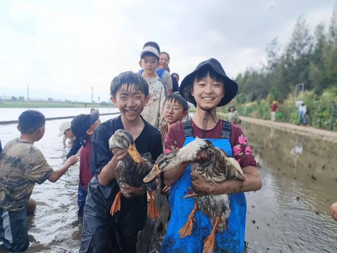 抓鸭子精彩瞬间:地址:通海县大树路下段(导航请点击下图)10月7日下午