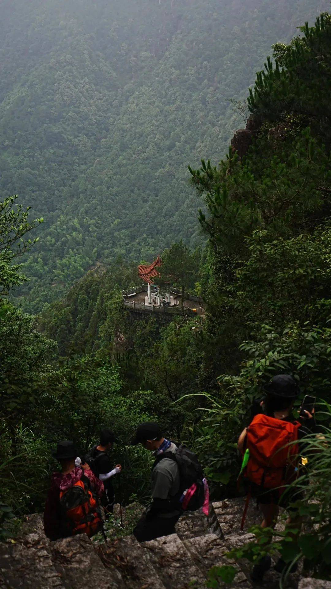 平阳满田森林公园门票图片