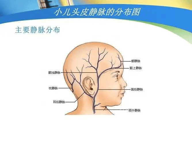 儿童静脉采血常用部位图片