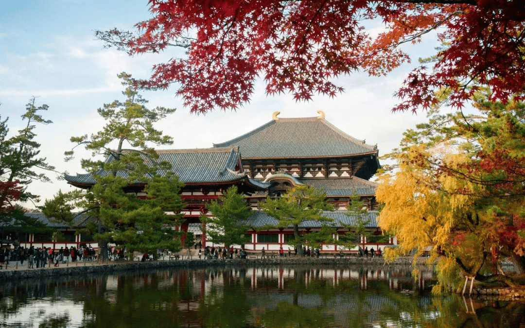 奈良国立大学图片