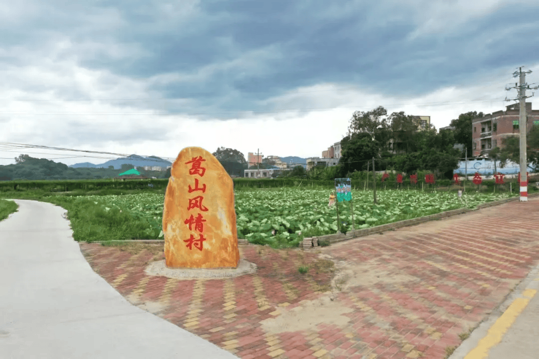 电白乡村音乐会走进观珠一大波本地人气歌手在这条村唱起来