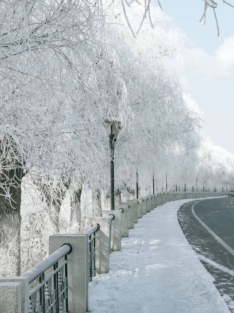 哈尔滨江边雪景图片