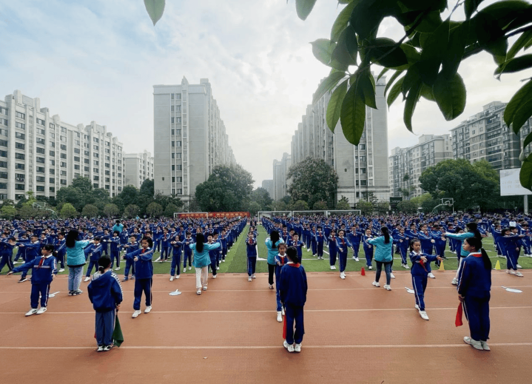 雨花区枫树山大桥小学图片