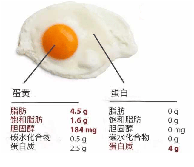 每天吃1个鸡蛋和很少吃鸡蛋的人，谁更健康？