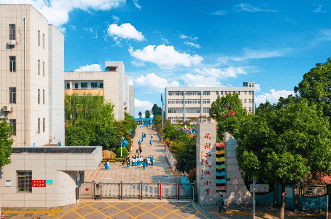 雨花区枫树山大桥小学图片