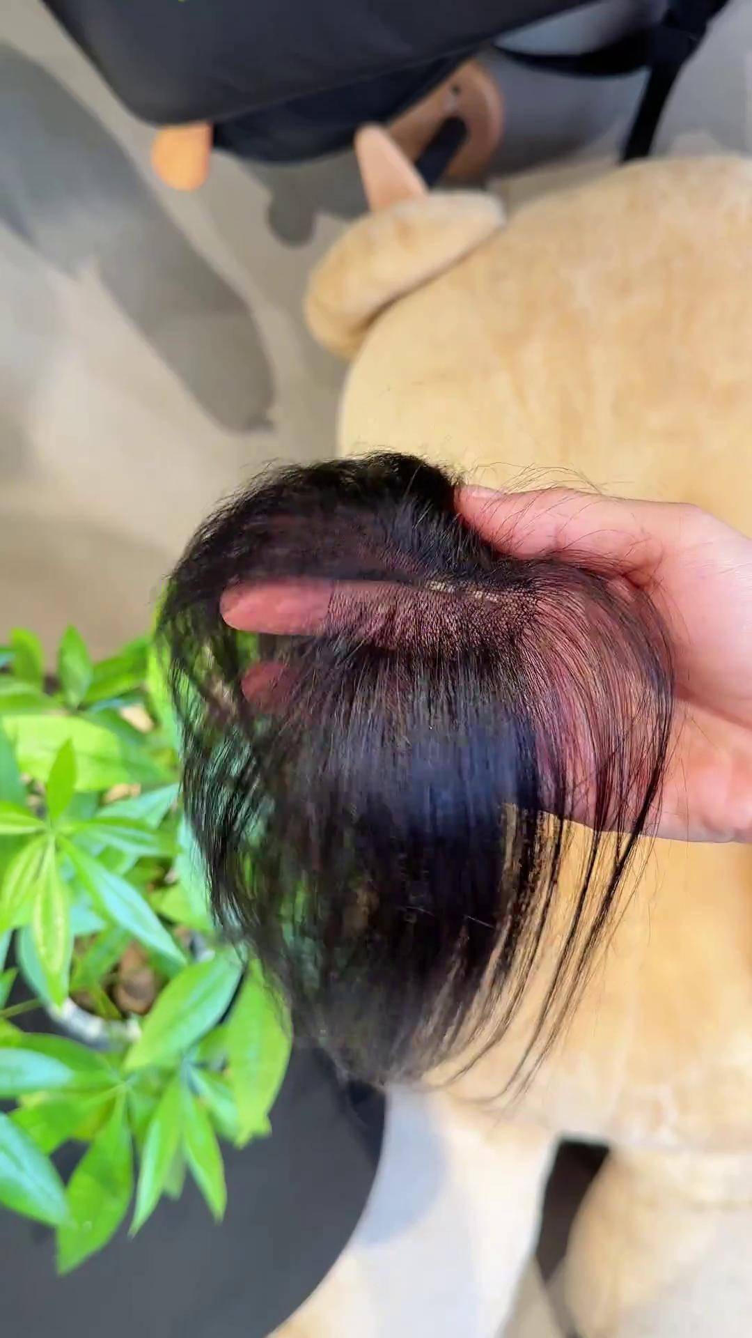为什么头顶容易脱发