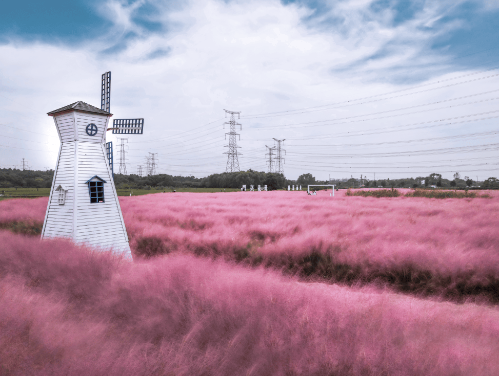 西安花海公园图片