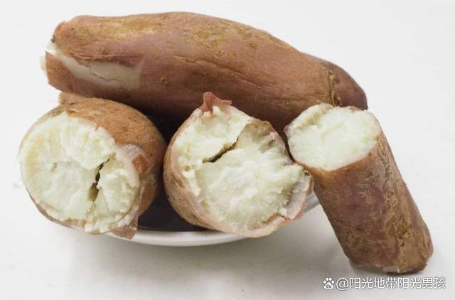 在唐山什么时候收货白薯_种植_进行_收获