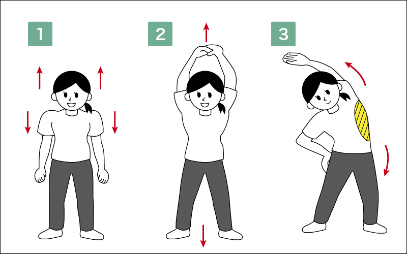 腰部,胸部的伸展前屈的同时拉伸背部10秒×2次再向前屈的同时伸展腰部