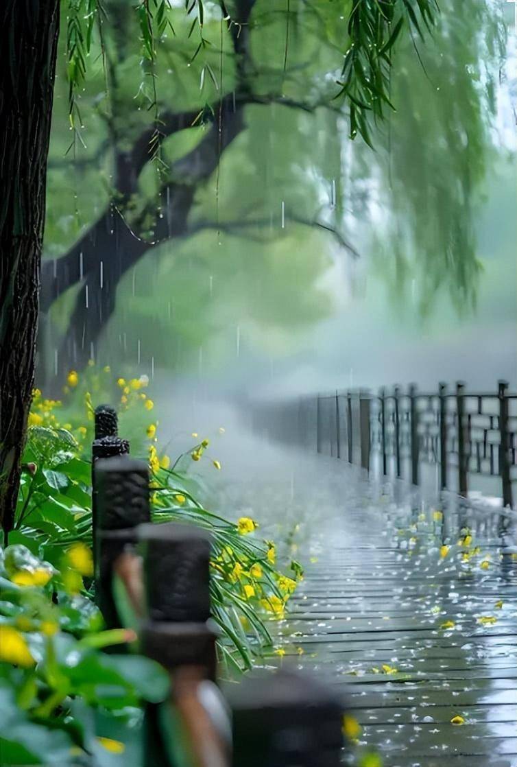 江南雨季唯美图片