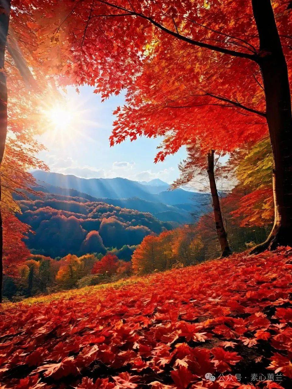 人生如梦,岁月如歌