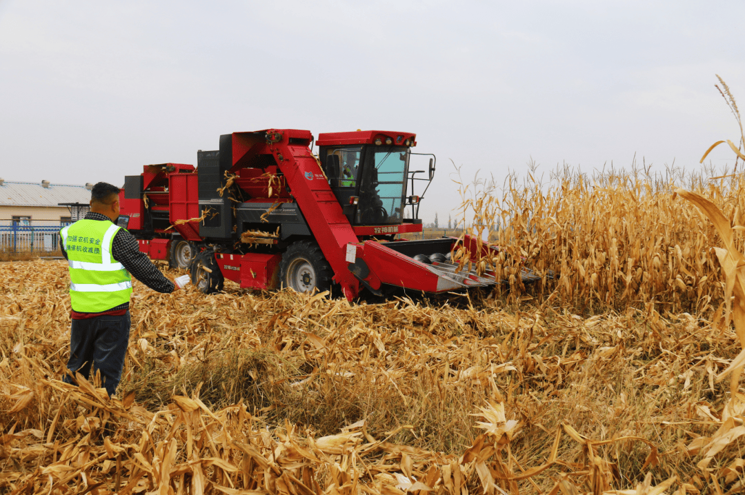 玉米机收大比武 减损降耗保丰收