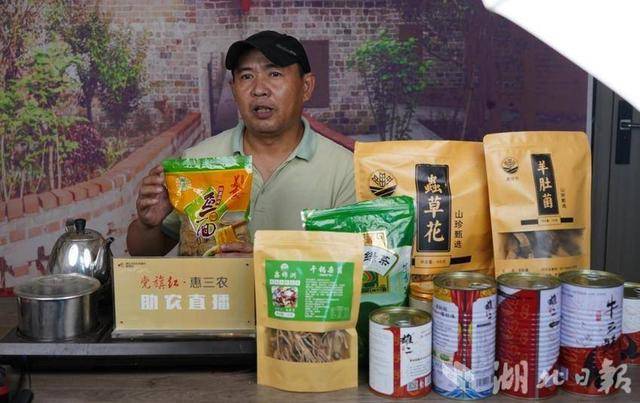 武汉新洲:美丽山乡的云上"蝶变"