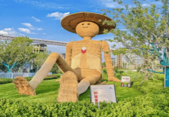 就在这片稻梦空间_稻田_艺术_庄市街道