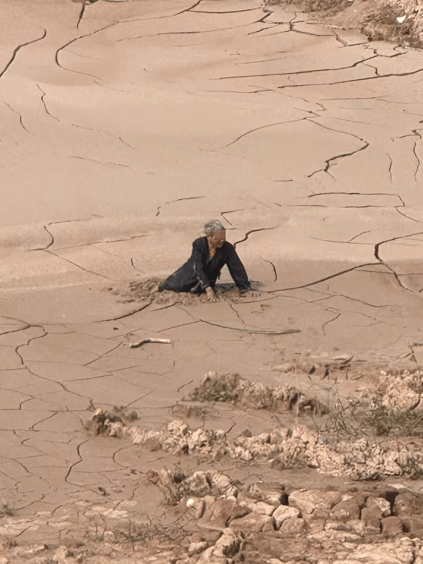 八旬老太隔壁村"追星"不成,反遭泥潭"圈粉"