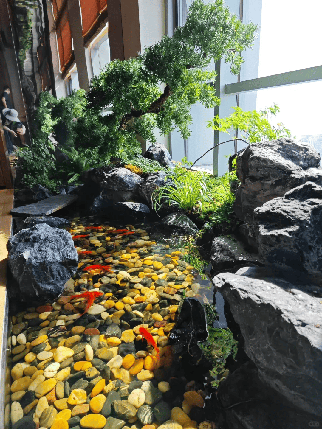 给你的阳台建个假山鱼池,太美了