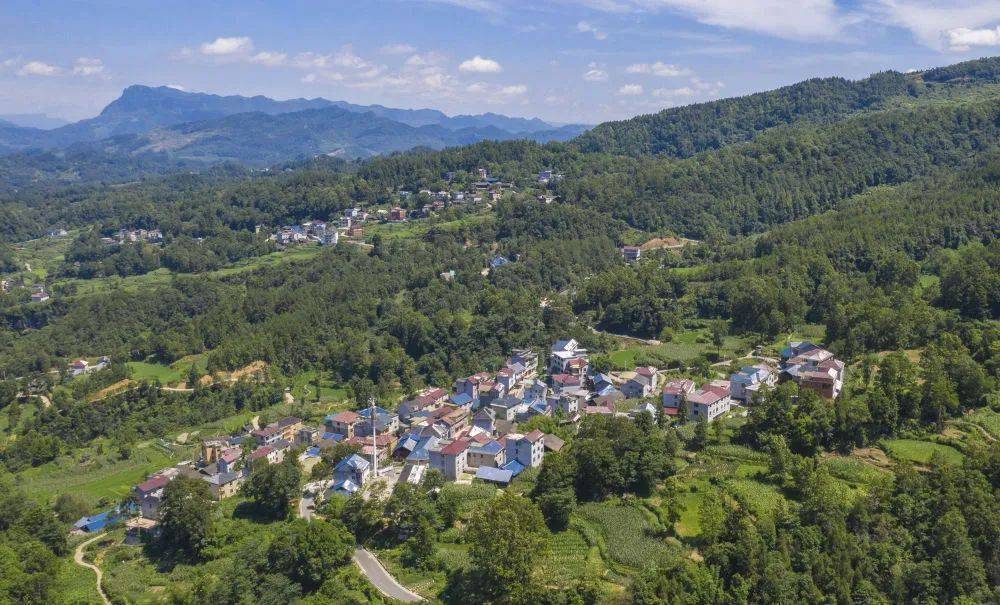 分水镇三星村:用"小积分"撬动"大文明"