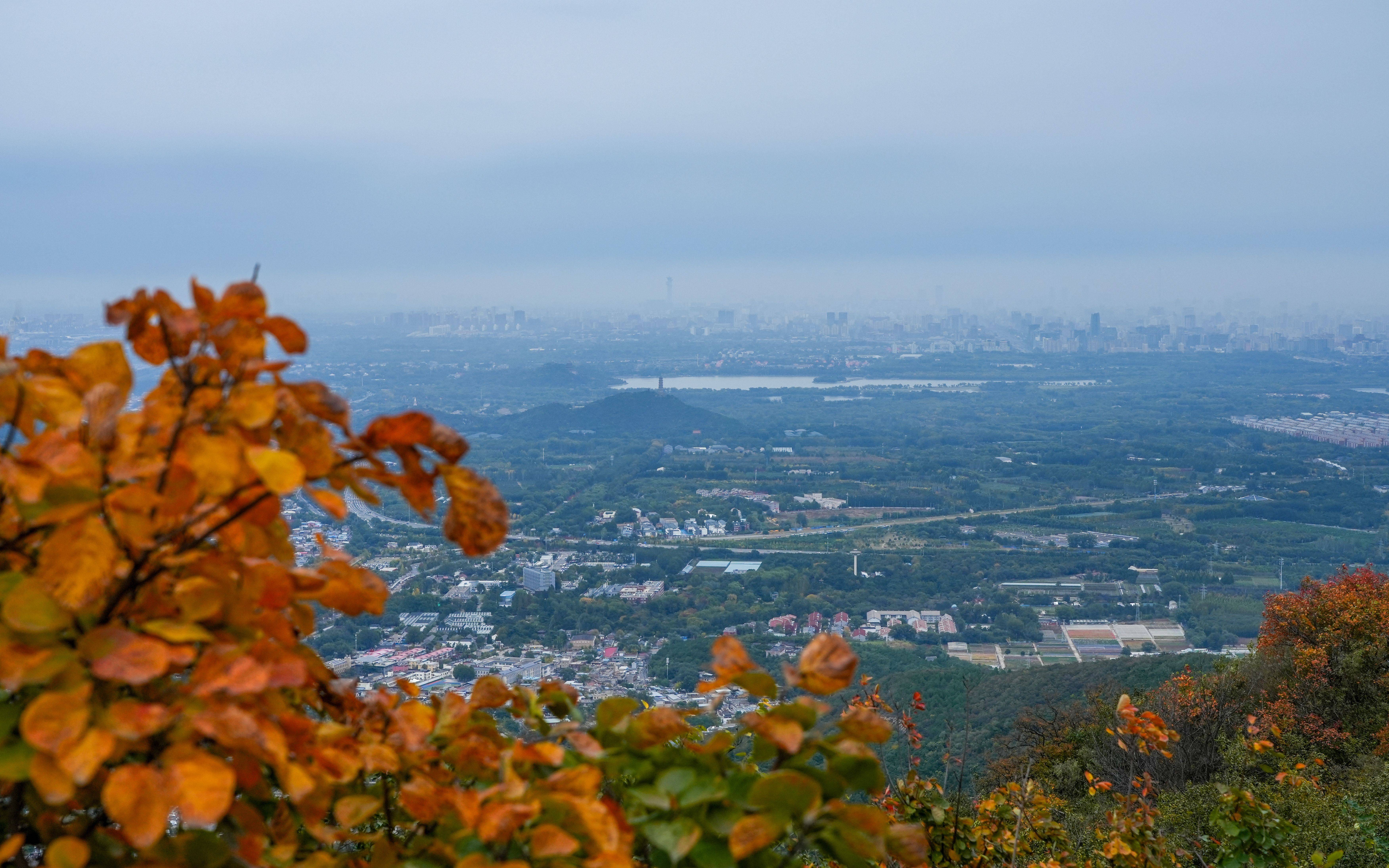 北京香山 全貌图片