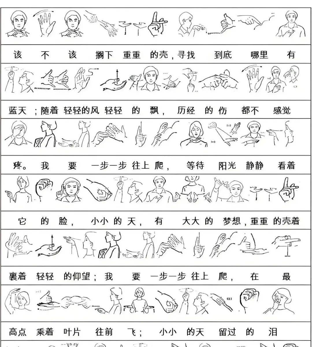 朗诵//诗心斋微诗单首《手语》精选