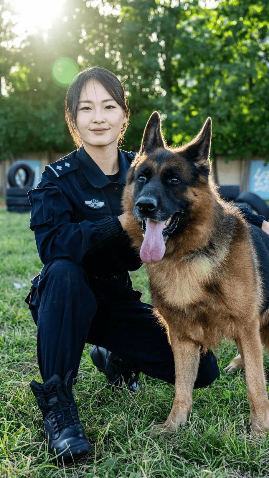 德牧警犬军犬图片