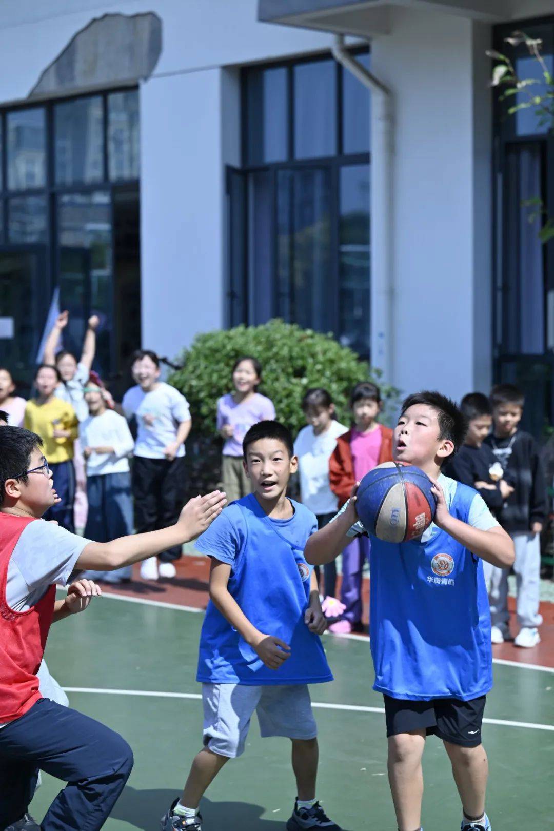 鹿鸣小学校徽图片