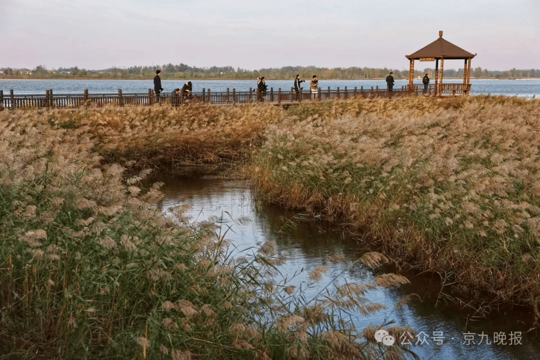 永城市委书记王建民图片