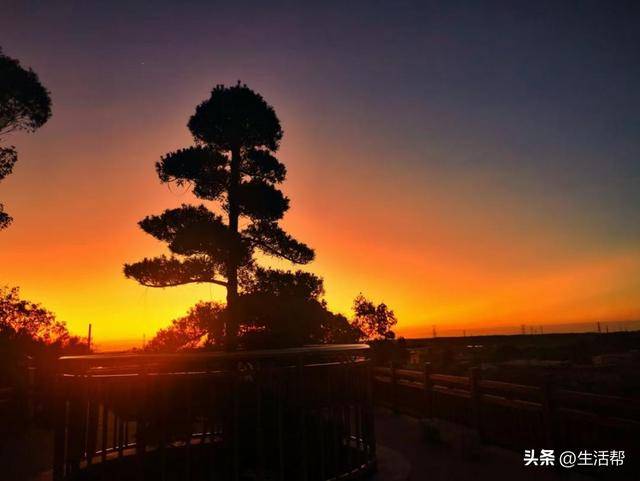 文章配图-17