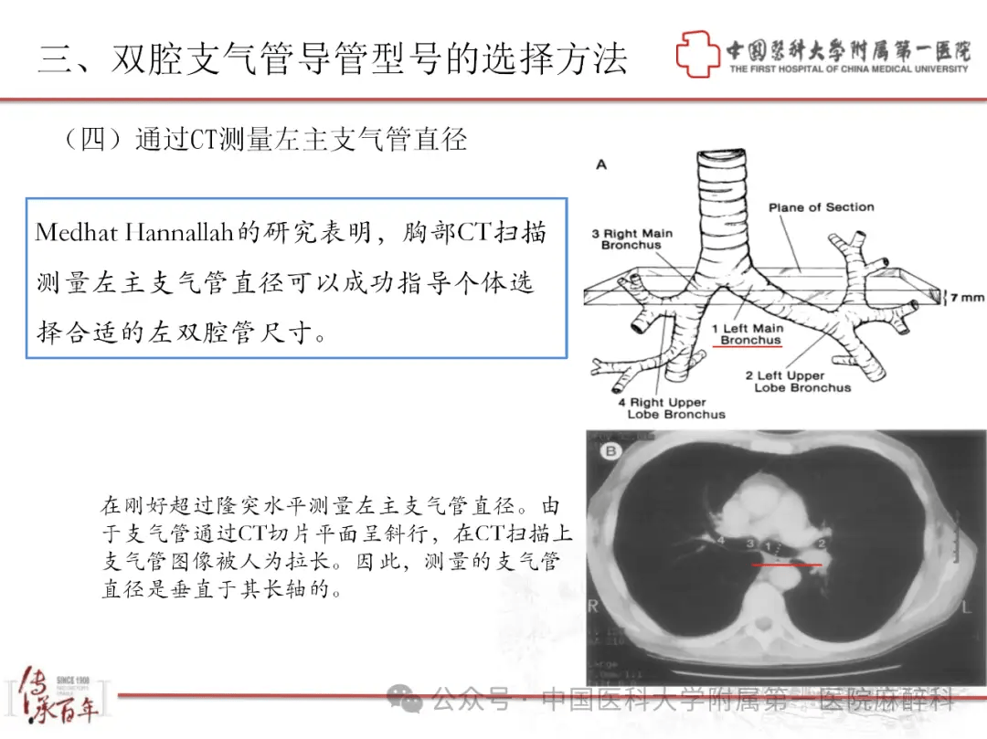 双腔气管导管图解图片