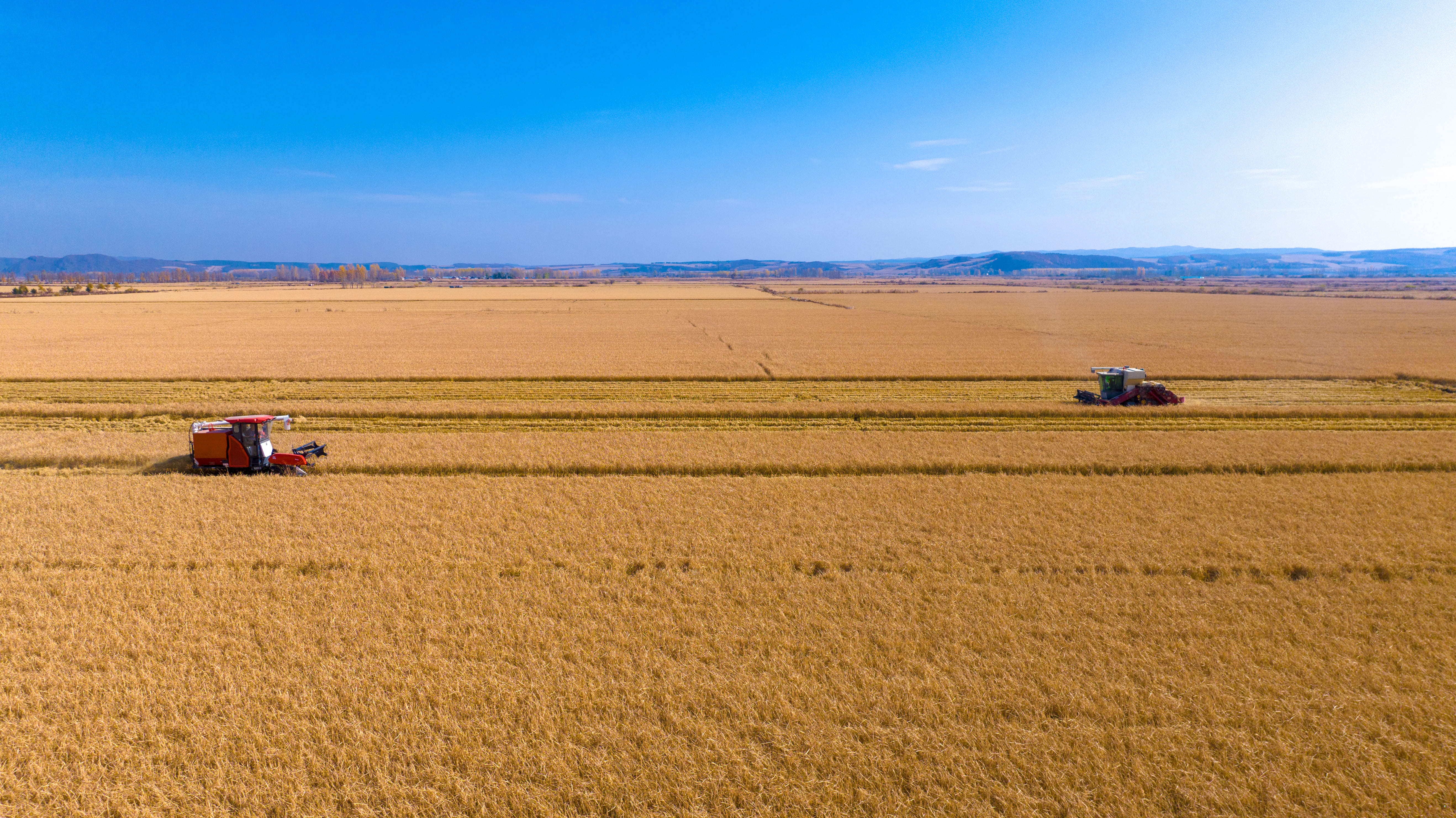 黑龙江:高质量秋收绘就乡村好"丰"景