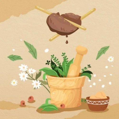 世界传统医药日 | 传承精华,守正创新,为健康护航_体系_国家_中国