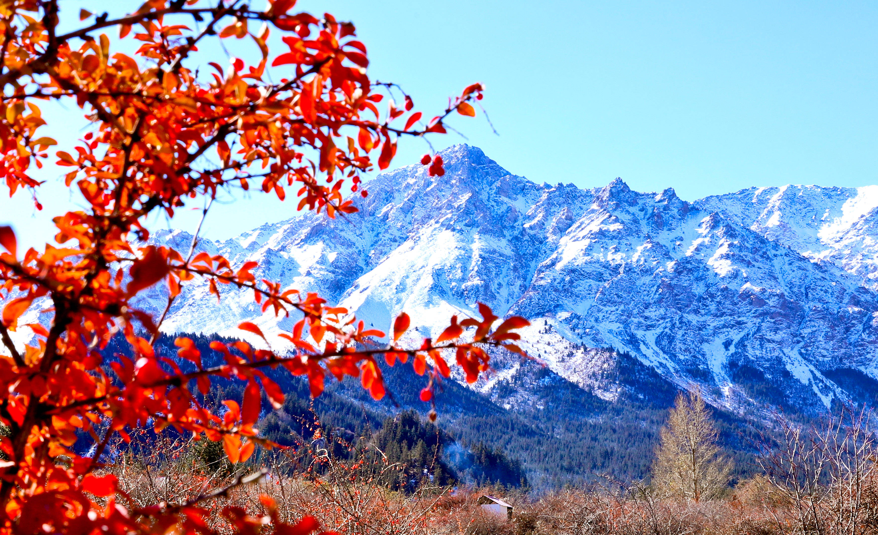 雪后祁连山国家公园景色美