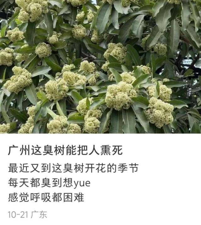 利博成语四个字大全集最新（公司官网）