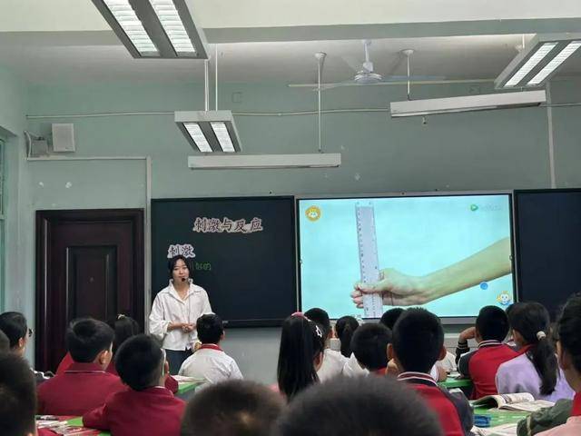 聚焦课标研思并进 深耕课堂聚力同行——灞桥区庆华小学“双责智慧课堂”研讨活动_手机搜狐网