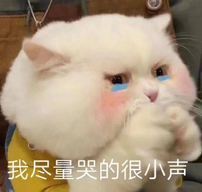 熊猫头哭泣图片