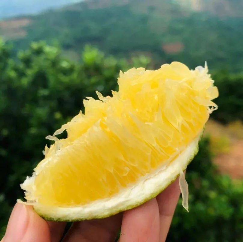 产地食材 看着绿,吃着甜,云南冰糖橙,鲜嫩多汁,VC满满还解腻,现摘现发~_生活_橙子_果肉