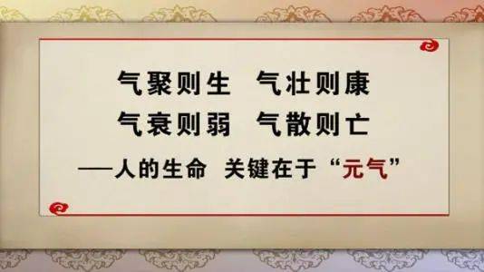补气的最快方法,找准人体自带的“穴位医院”_艾灸时_山药_人参