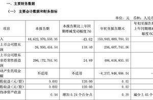 财报透视｜绿地控股前三季度净利润下滑九成，副董违法被查，董事长被“限高”