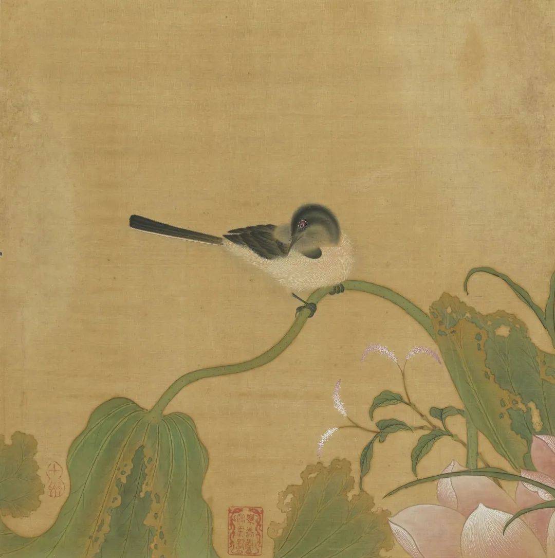 仇英花鸟册