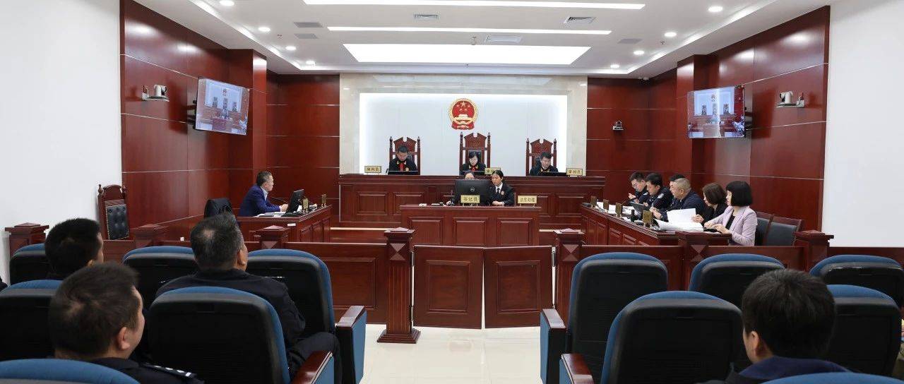 “头雁效应”激发“群雁活力”!顺义区副区长毕波带头出庭应诉_顺义公安分局_区政府_进行