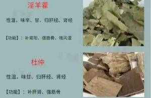 补肾中药汇总,你认识几个补肾妙药?