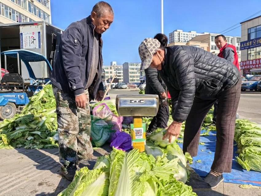 秋菜销售旺 监管保安全——延吉市秋菜市场见闻